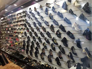 کیف و کفش سامان