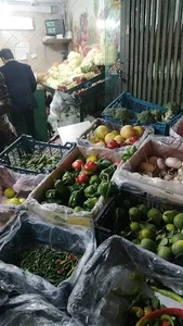 میوه فروشی فریدون