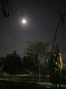 پارک حکیم نظامی 4
