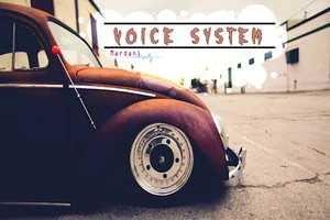 فروشگاه مردانی(VOICE)