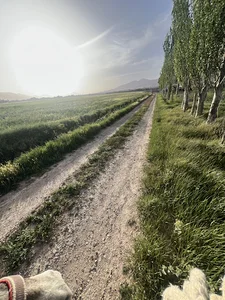Padash farm,مزرعه پاداش
