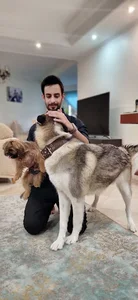 مربی سگ نیما حسین زاده
