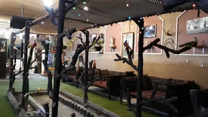 کافه سنتی جزیره