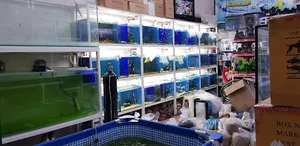 اکواریوم نیلوفر ابی