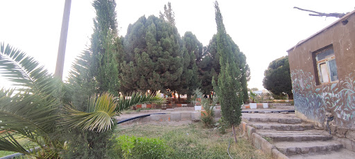 زهک