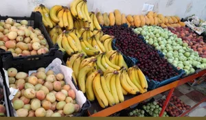 میوه سرای آرش 2