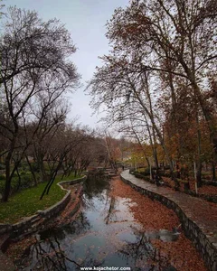 حمیدرضا میری