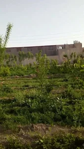 سبزی فروشی رنجبر