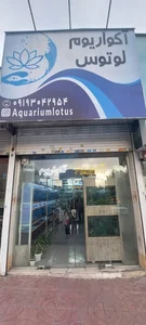 آکواریوم لوتوس