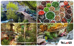 شرکت مهندسی کامپیوتری نت بلد