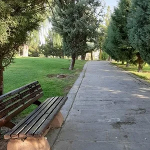 پارک تخم مرغی 5