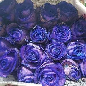 فروشگاه بزرگ زارع