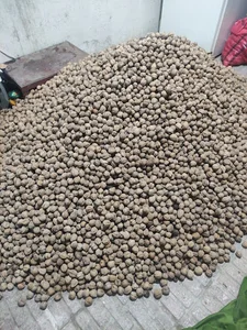 خشکبار سنندج