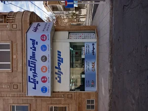 ایمن‌ساز الکترونیک
