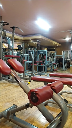 باشگاه 360 شیراز