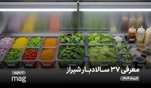 سالادبار زینو
