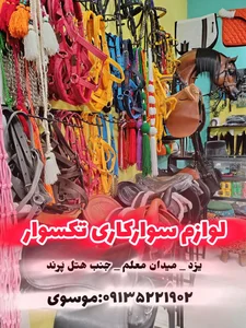 لوازم سوارکاری تکسوار 2