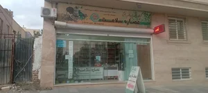 عطاری حکیم جرجانی