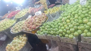 میوه فروشی شبانه روزی وحید 4