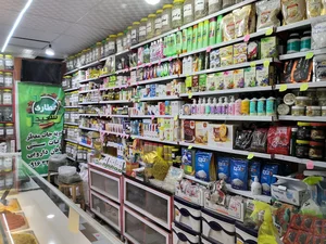 عطاری سعید