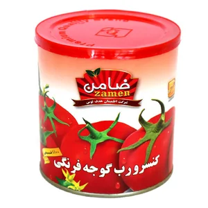 گروه مواد غذایی ضامن