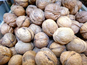 آجیل و خشکبار ونوس 5