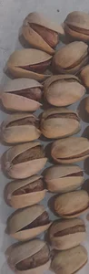 پسته کویر