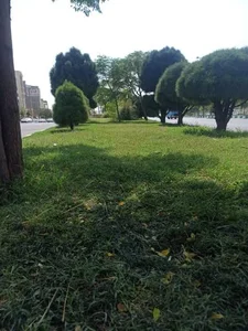 پارک 3