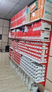 ایمن دیدبان البرز