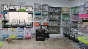 پرنده سرای عروس