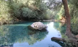 روستای چاه تلخ باباامیرشیخی ها