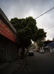 نان و شیرینی میلاد 2