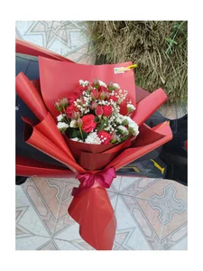 گلسرای گلستان 2