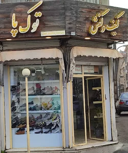 کیف کفش توک پا