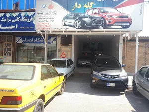 اتوگالری گله دار