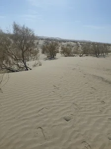 Kavir