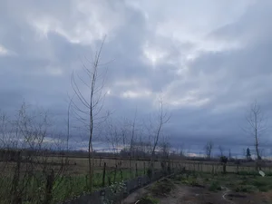 شمال باباعلی و رادمهر