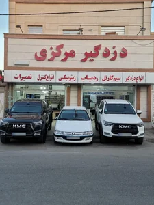 دزدگیر مرکزی 3