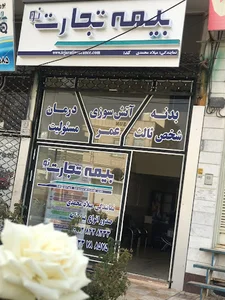 بیمه تجارت نو