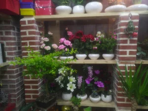 گلفروشی ونوس