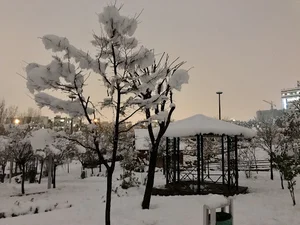 بوستان فراز
