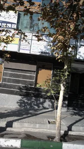 رادیولوژی دکتر افقهی 3