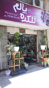 گلکده پالم