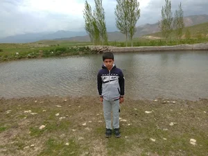 شرکت رزین هنر