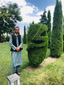 د کوته سون-کوته سین جلگه