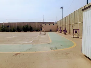 المجمع الرياضي النسوي