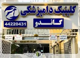 کلینیک دامپزشکی دکتر طراحی