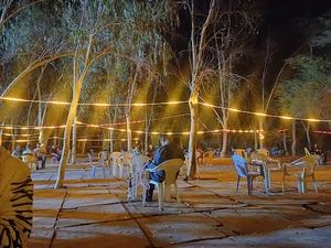 فلکه چیتا زیتون کارمندی