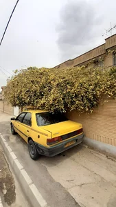 کارواش دشتستان