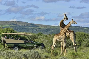 Game Park